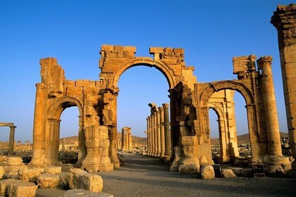 Superior Quality: Sidon & Tyre (Full day)