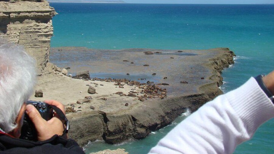 Exclusive Peninsula Valdes Nature & Wildlife with entry fee and box lunch