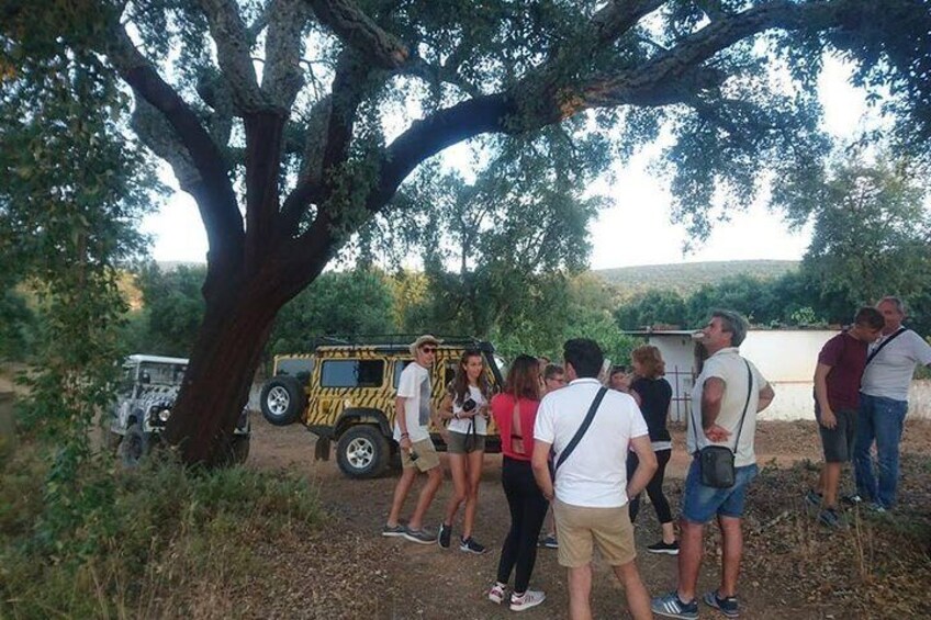 Albufeira Jeep Safari Tour (Full Day)