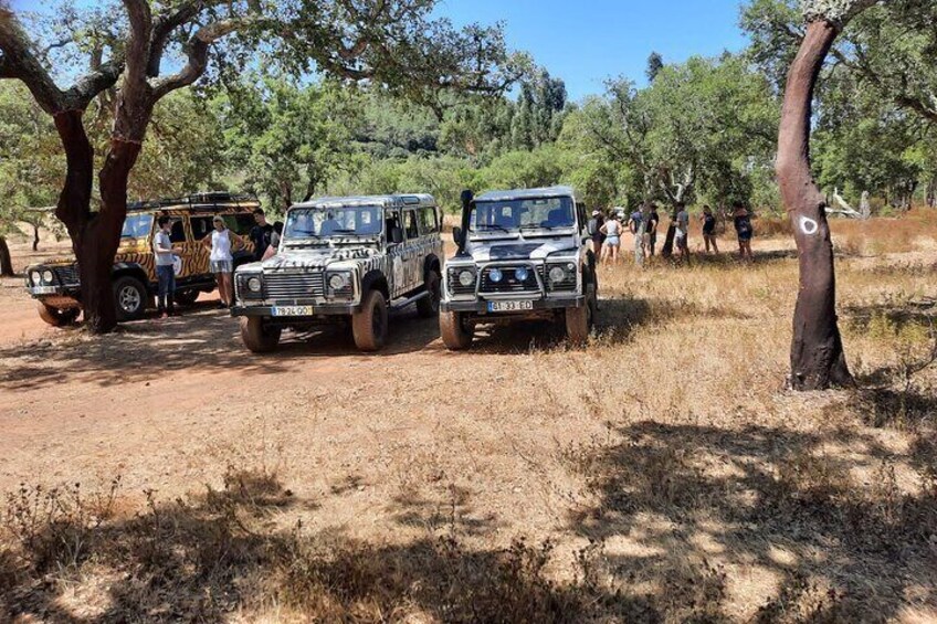 Algarve Half Day Private Jeep Safari Tour