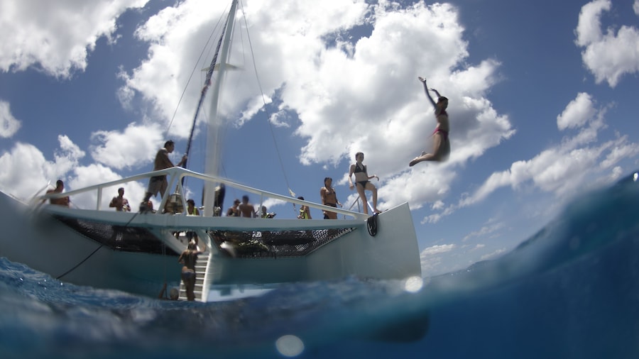 Big Island Waikoloa Snorkeling & Sailing
