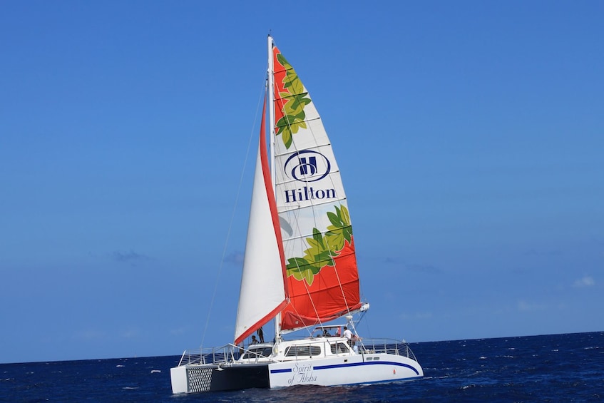 Big Island Waikoloa Snorkeling & Sailing 