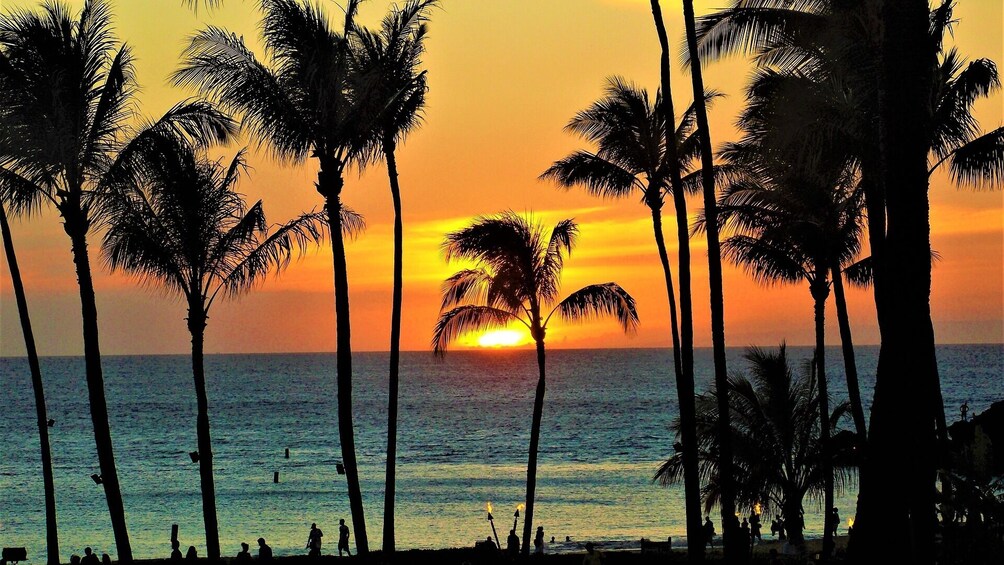 West Oahu Snorkel or Sunset Dinner Cruise 