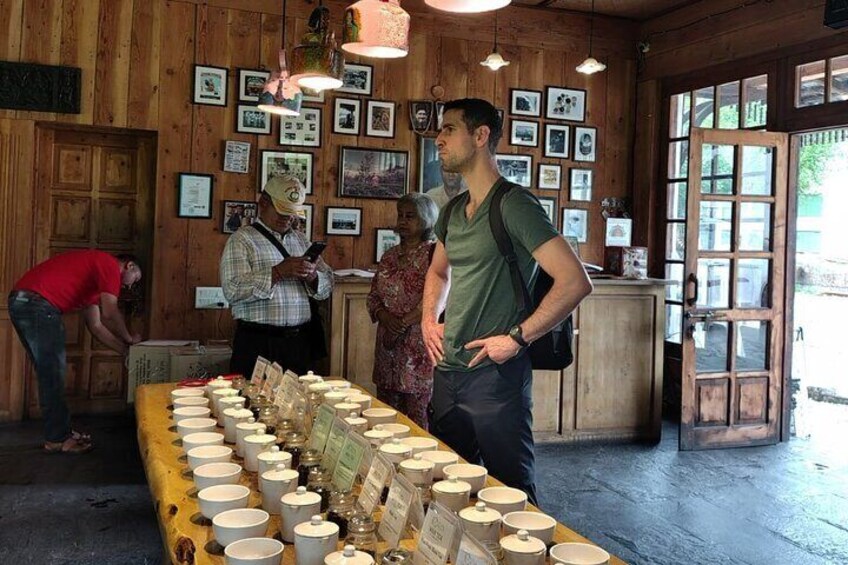 Palampur's Guided Day Tour: Discover the Tea Capital.
