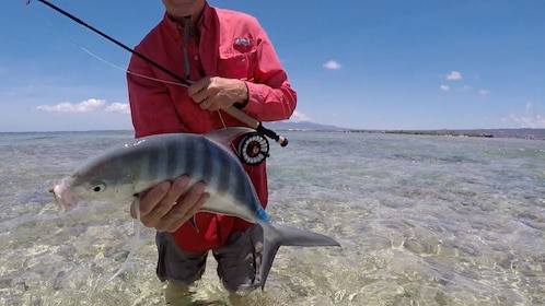 ハワイのオアフ島で海釣りフライ フィッシング ホノルル エクスペディア