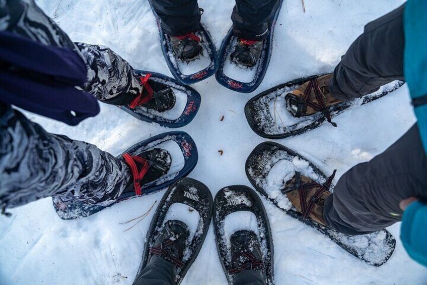 Snowshoeing with friends