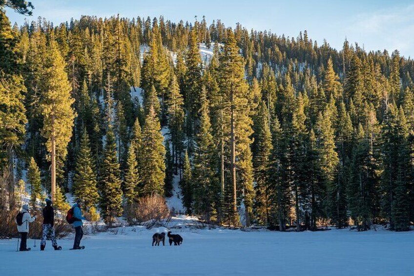 Meander through Tahoe's scenic snow covered meadows.