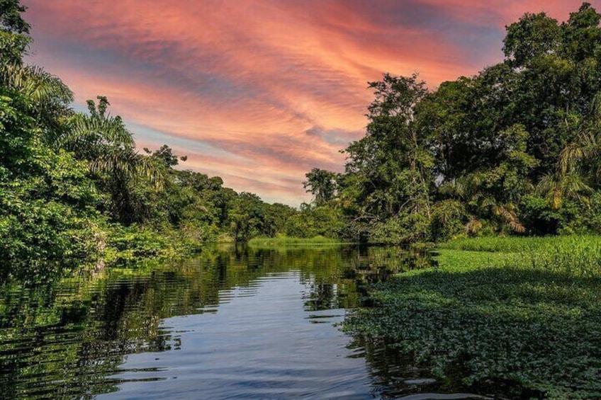 All-inclusive package in Tortuguero 2 days 1 night