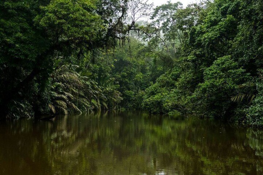 All-inclusive package in Tortuguero 2 days 1 night