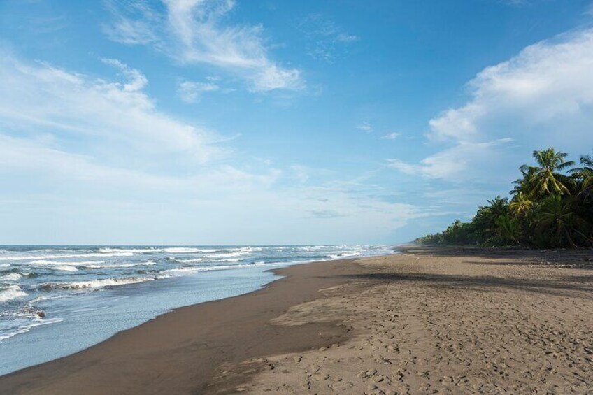 All-inclusive package in Tortuguero 2 days 1 night