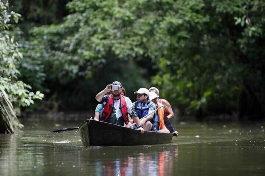 All-inclusive package in Tortuguero 2 days 1 night