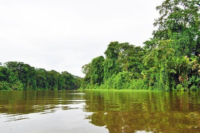 Tortuguero Package 2 days 1 night