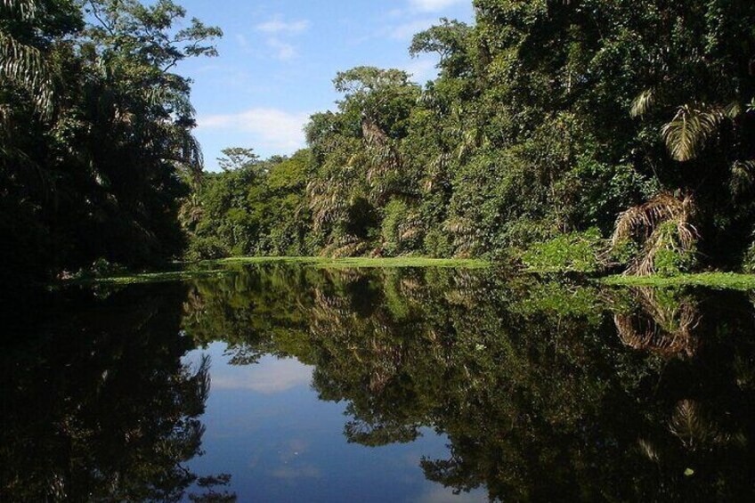 Tortuguero Package 2 days 1 night