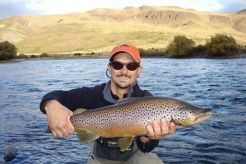 Wild Brown Trout in Limay River