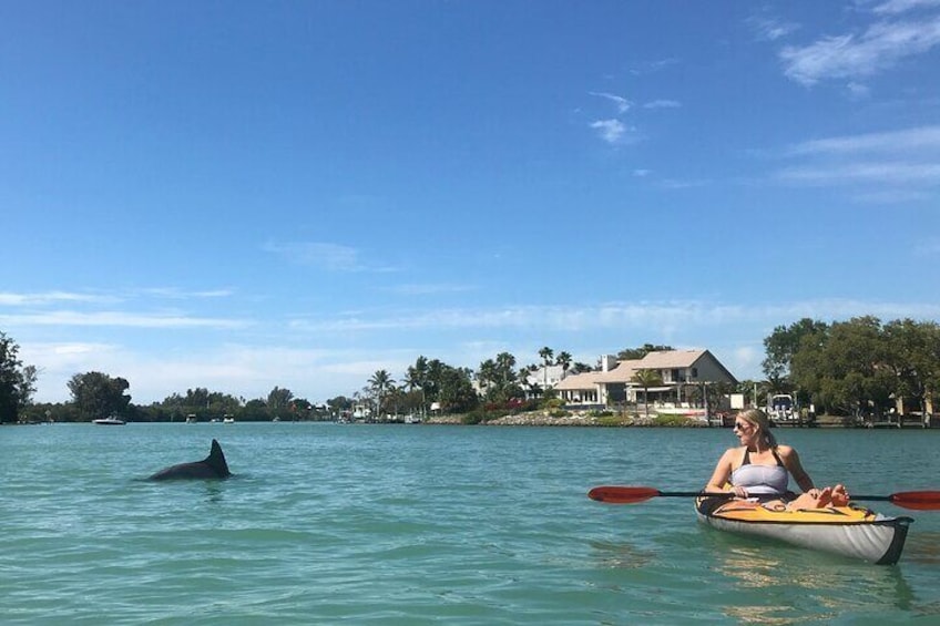 Half-Day Private Sarasota Charter Tour with Wildlife Watching