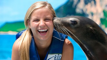 Sea Lion Encounter