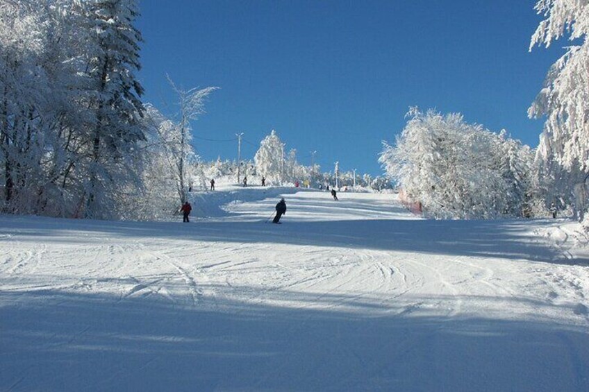 Skiing For Beginners - Private Day Trip from Krakow