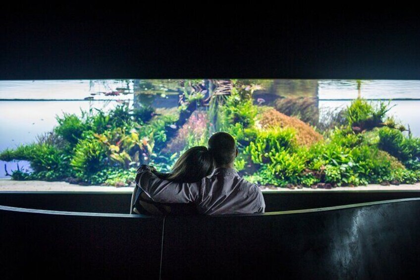 Oceanario | Forests Underwater Exhibition