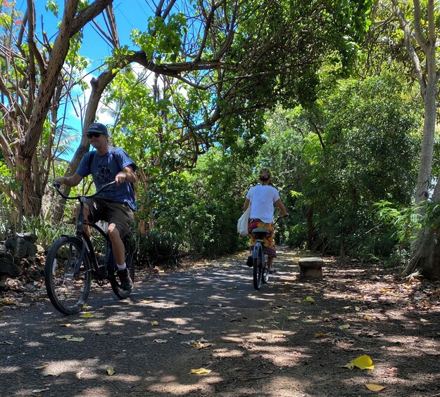 Circle Island North Shore Adventure Tour + Snorkeling