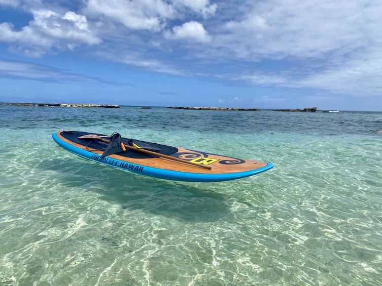 Original North Shore Tour - Snorkel, Waterfall, Paddle
