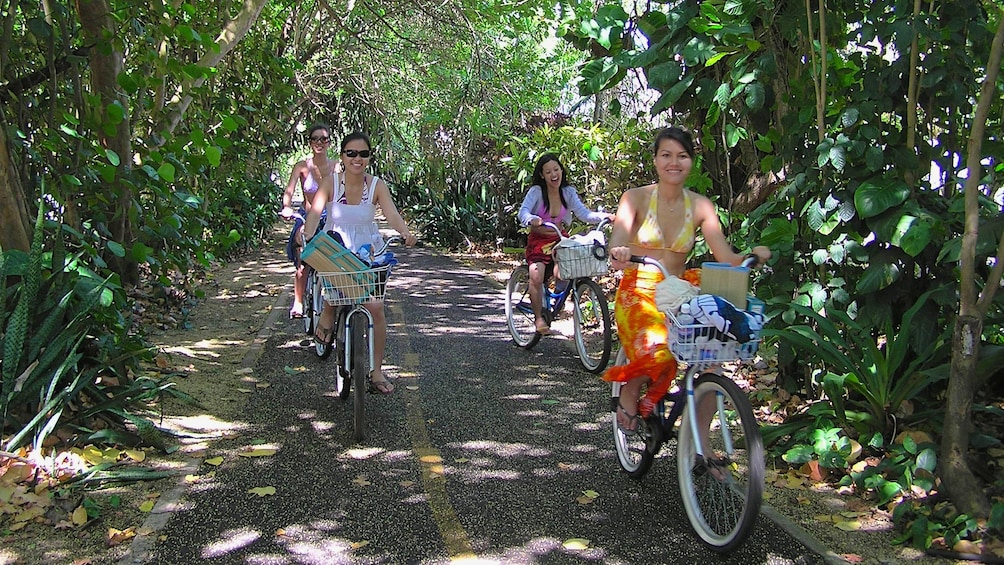 Show item 4 of 10. People riding bicycles on shaded path in Oahu