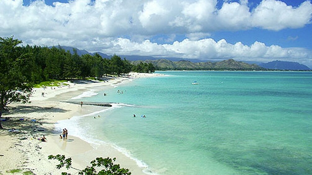 Sandy beach along the coast of Oahu