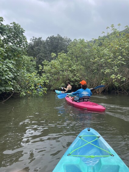 Guided Kayak Tour (2.5-hours) to Popoia Island