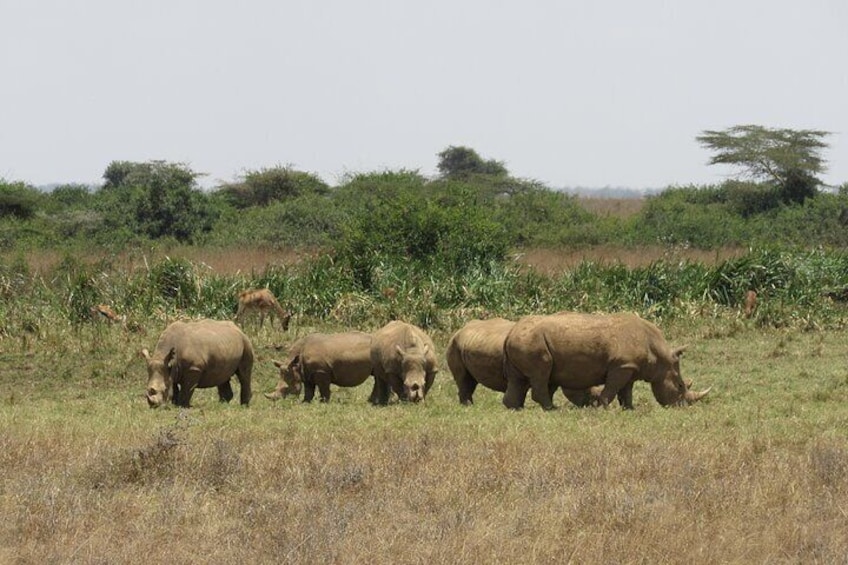 Nairobi National Park