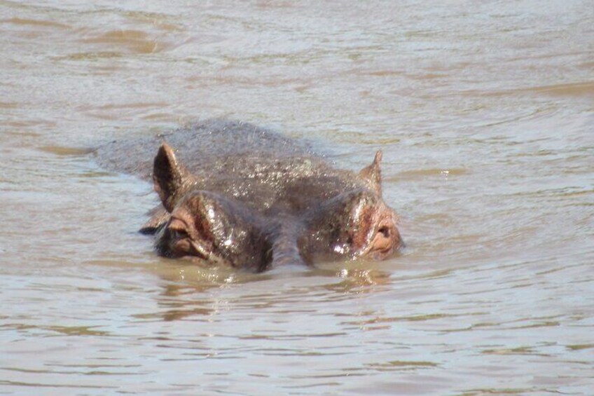 9-Day Best of Kenya's Private Safari