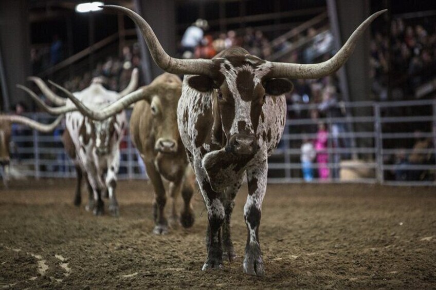 General Admission Ticket to the Saturday Night Rodeo Bulverde