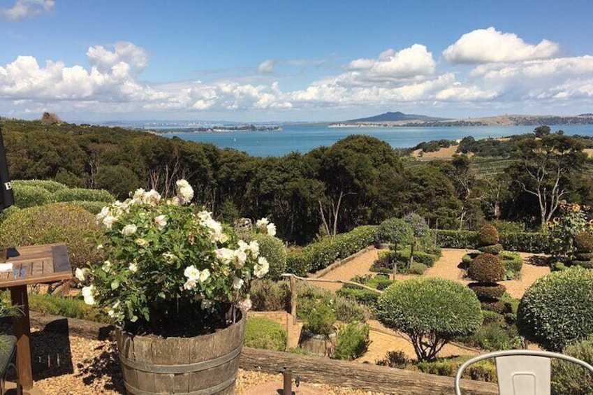 Premium Full Day Waiheke Wine Tour