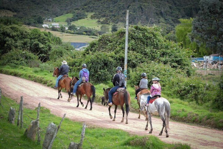 Andes Mountains Horseback Riding