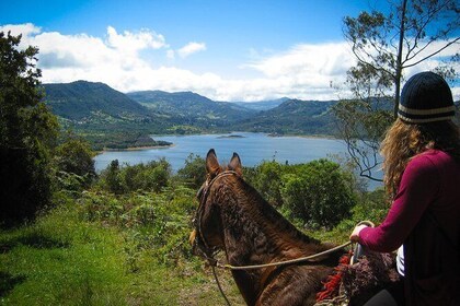Andes Mountains Horseback Riding