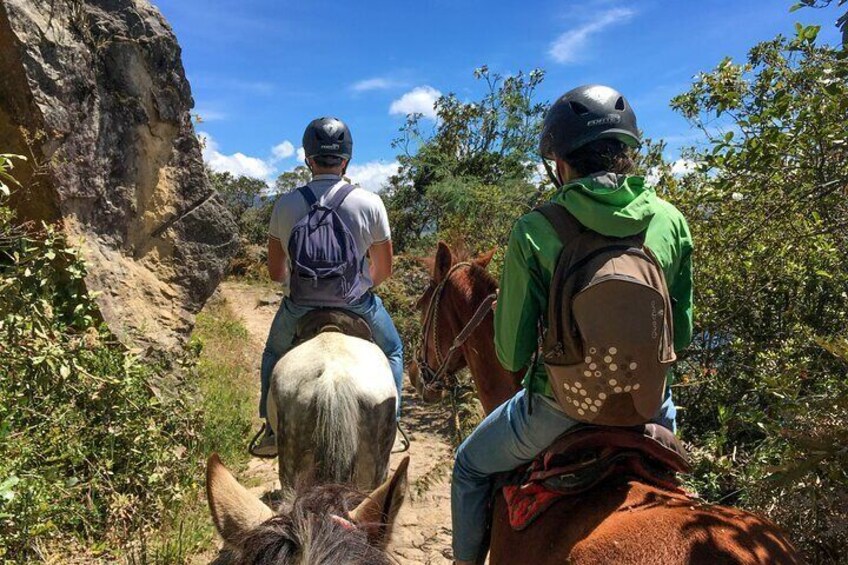 Andes Mountains Horseback Riding