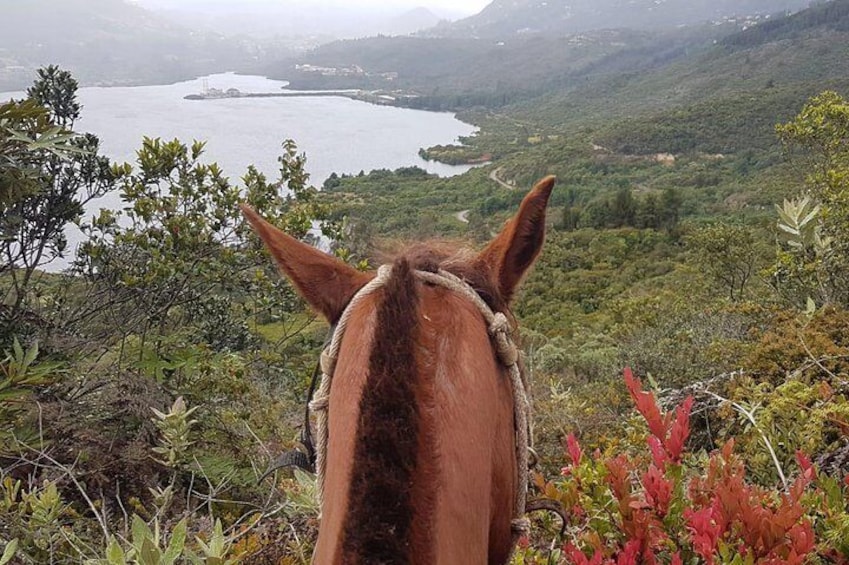 Even the horses enjoy the viewpoints!