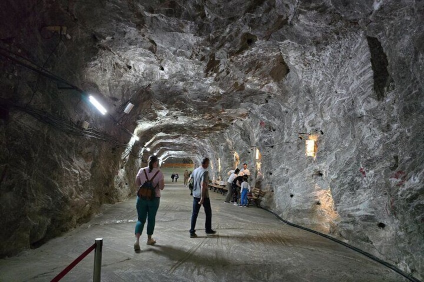 Salt Mine, Lunch at Winery and Dracula Grave - Private Tour