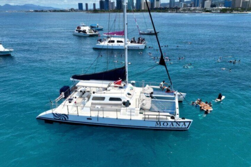 Moana’s 2-Hour Guided Turtle Snorkel Adventure at Waikiki