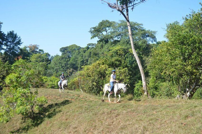 Rancho Típico Don Juan, Horseback Riding tour