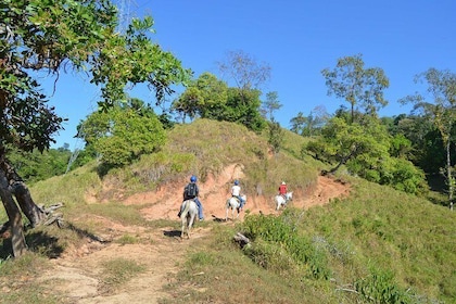 Rancho Típico Don Juan, Horseback Riding tour