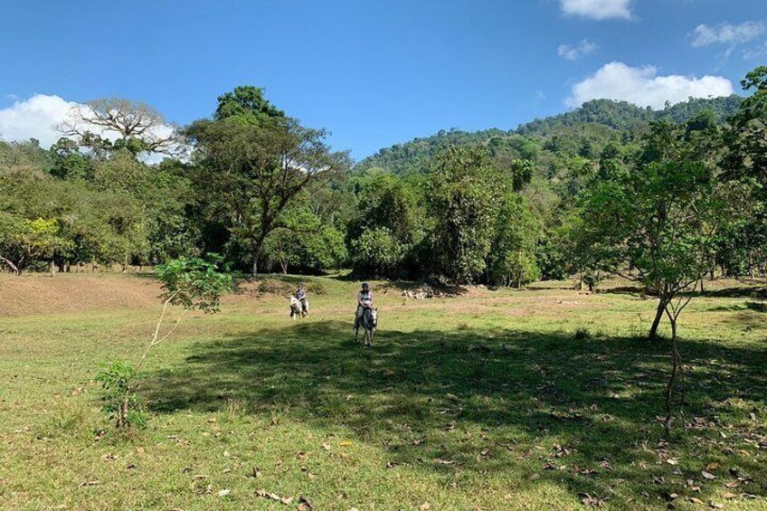 Typical Rancho Don Juan, Horseback Riding tour from Manuel Antonio