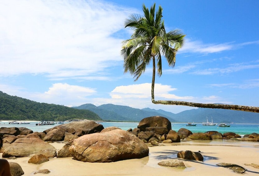 Angra dos Reis Full-Day from Rio with Boat Ride & Lunch