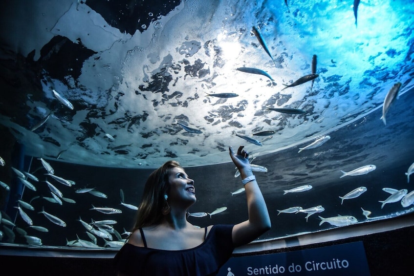 Öppna foto 3 av 5. AquaRio Aquarium Admission with Transportation