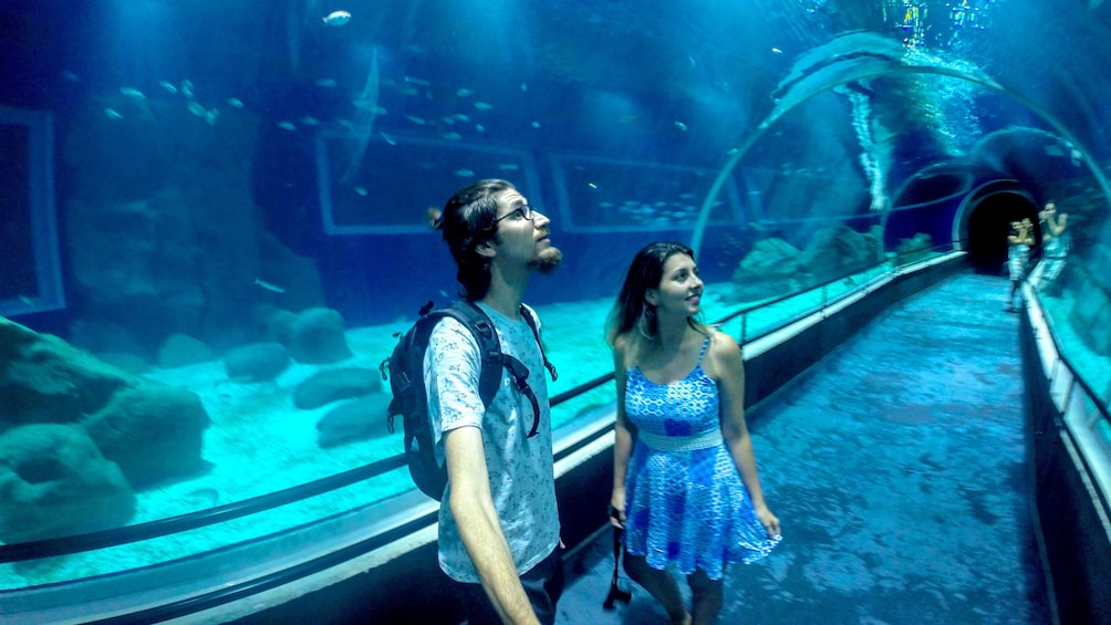 Öppna foto 2 av 5. Man and Woman in tunnel of Aquarium in Rio De janeiro