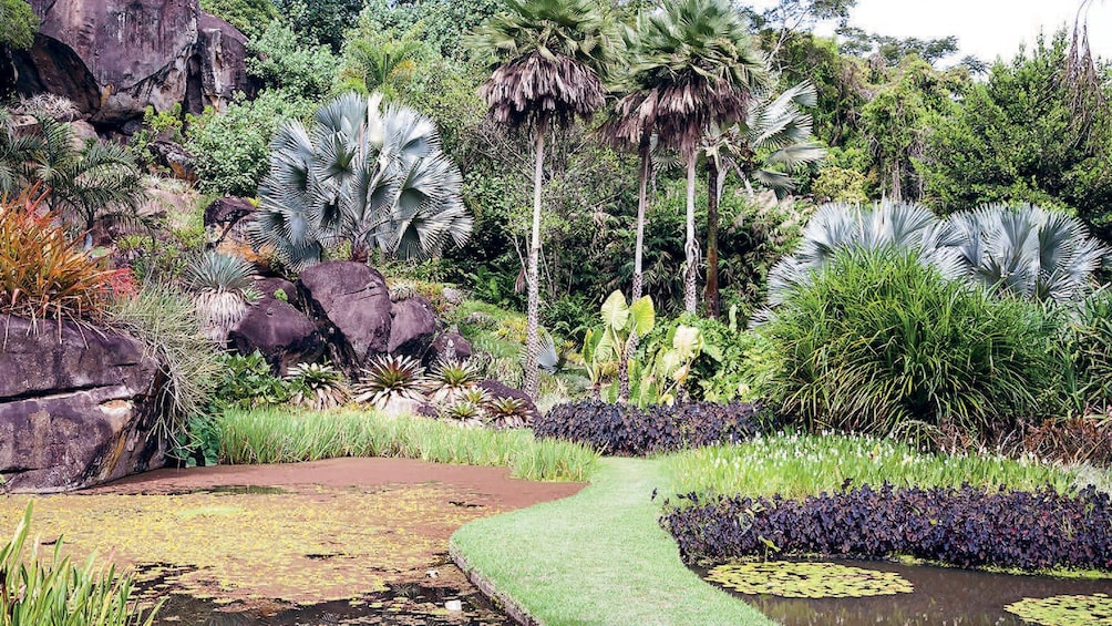 Garden in Rio de Janeiro