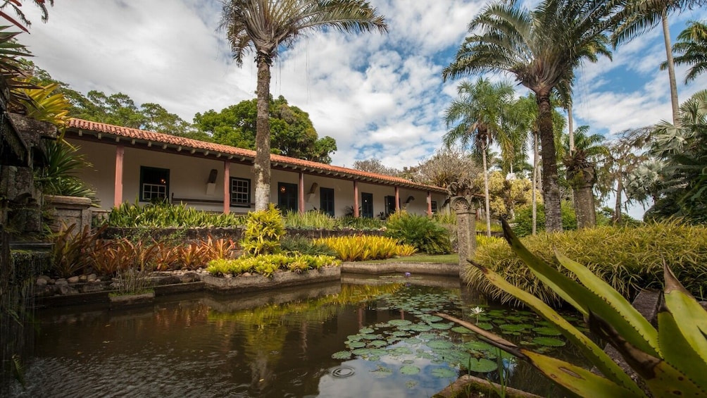 Sitio Roberto Burle Marx Guided Tour, Admission & Transfer