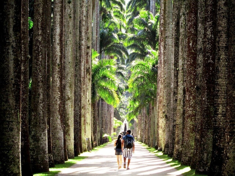 Tijuca National Park & Botanic Garden with transportation