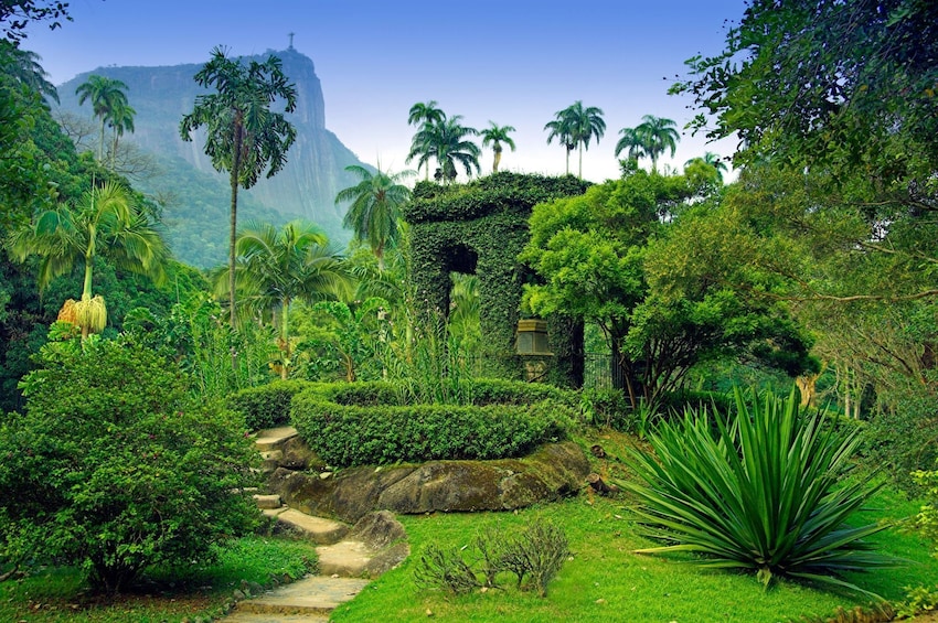 Tijuca National Park & Botanic Garden with transportation