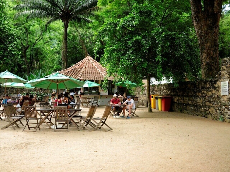 Tijuca National Park & Botanic Garden with transportation