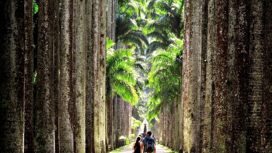 Botanic Garden and Parque Lage Tour