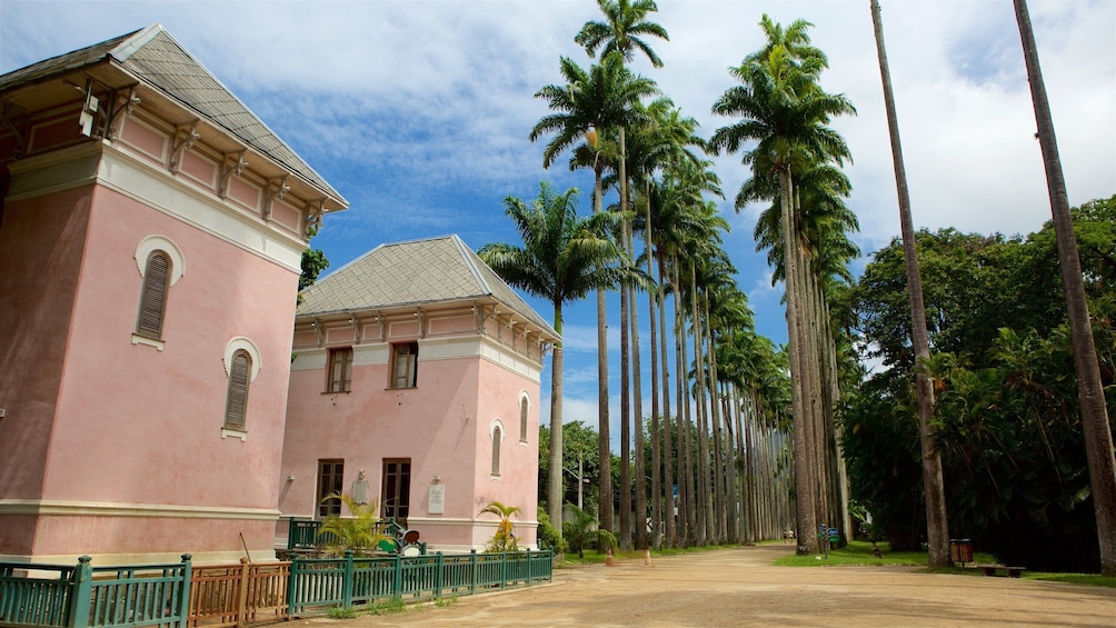 Botanic Garden & Parque Lage with Transfer